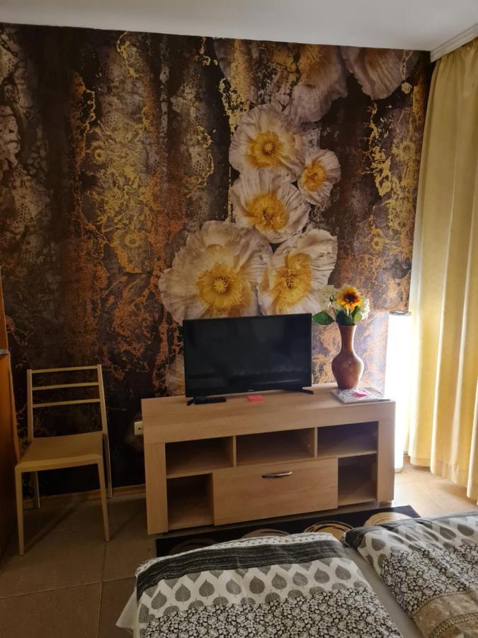 Borovets Holiday Apartments - Different Locations In Borovets Ngoại thất bức ảnh